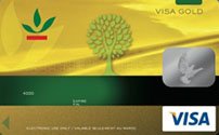 VISA GOLD